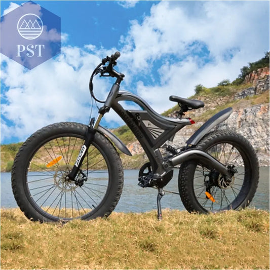 Adult Electric City Bike       PST PS Tradings