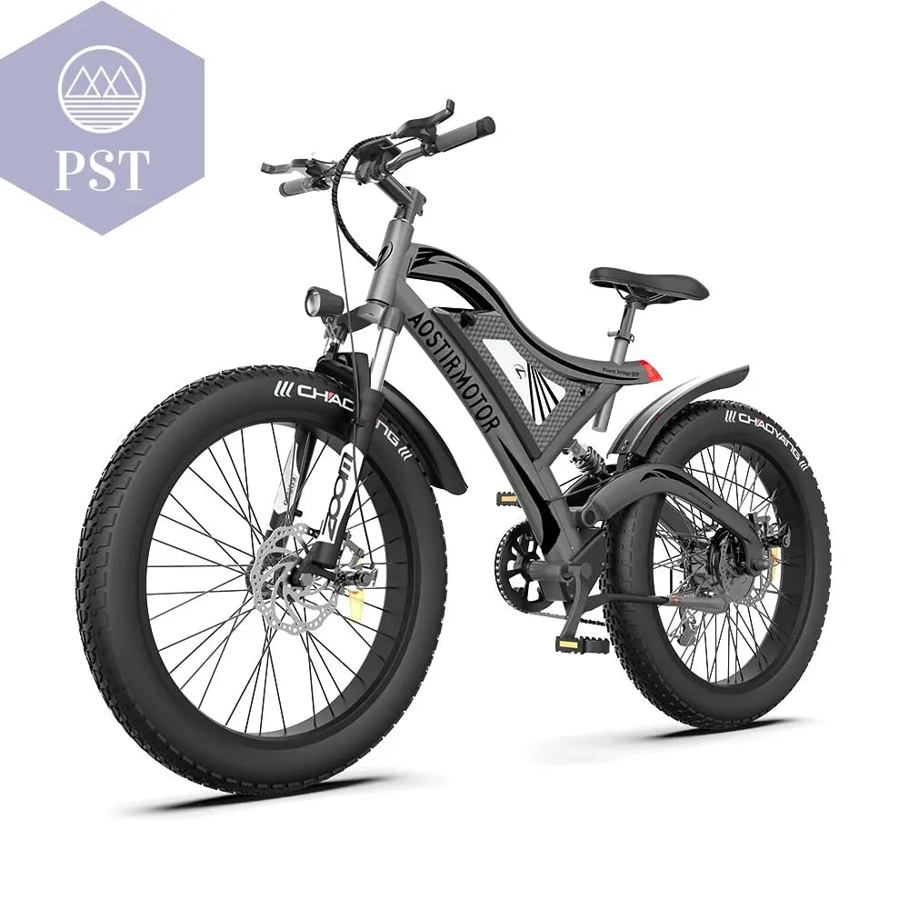 Adult Electric City Bike       PST PS Tradings